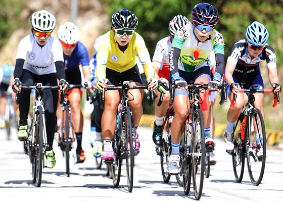 Áo vàng Thu Mai rơi vào tình trạng báo động