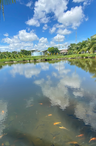 Wastewater Treatment